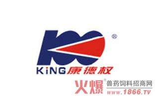 浙江康德權企業的外貿之路 圖