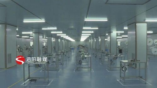 優(yōu)服務(wù)強(qiáng)項(xiàng)目，科技賦能 泗陽(yáng)意楊產(chǎn)業(yè)科技園的高質(zhì)量發(fā)展之路